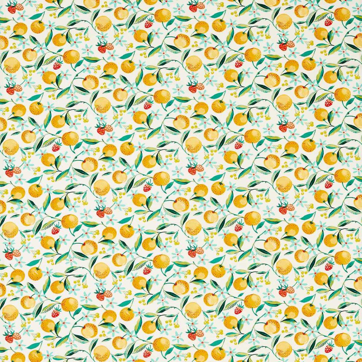 Orange Blossom F1784-02