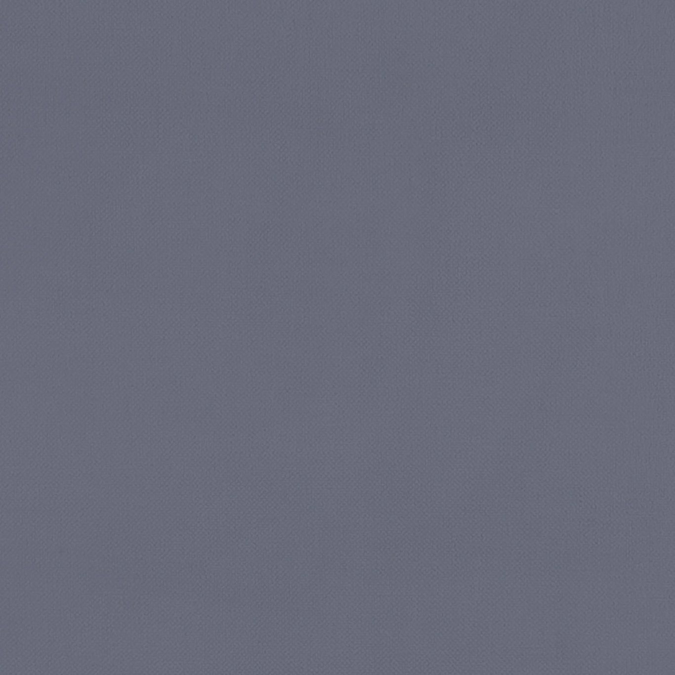Renzo F1231-19