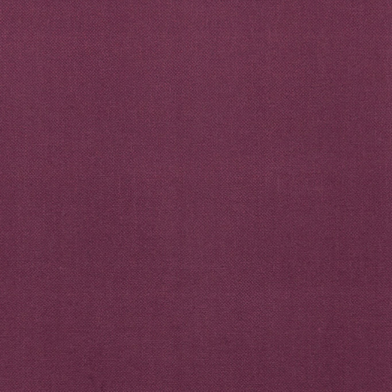Renzo F1231-20
