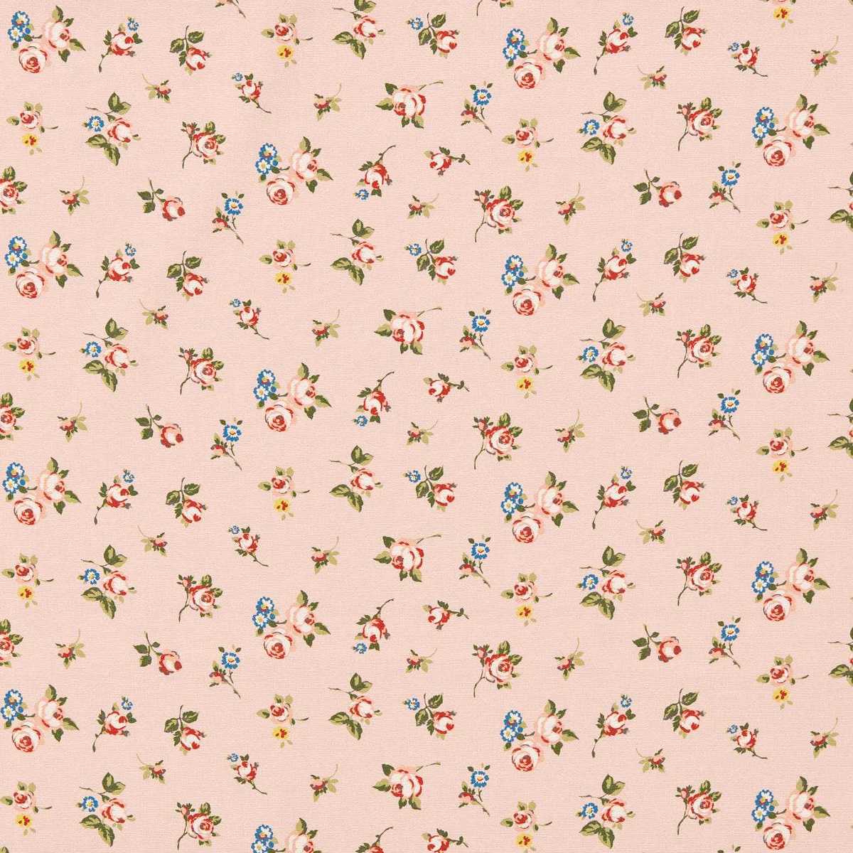 Rosebud F1785-01