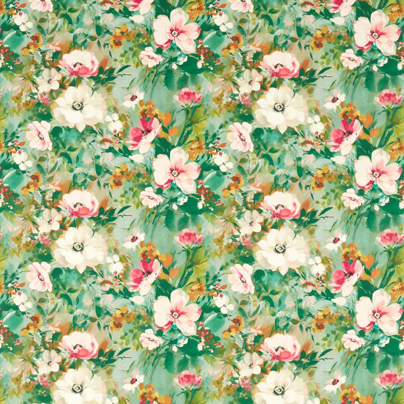 Rugosa F1579-02