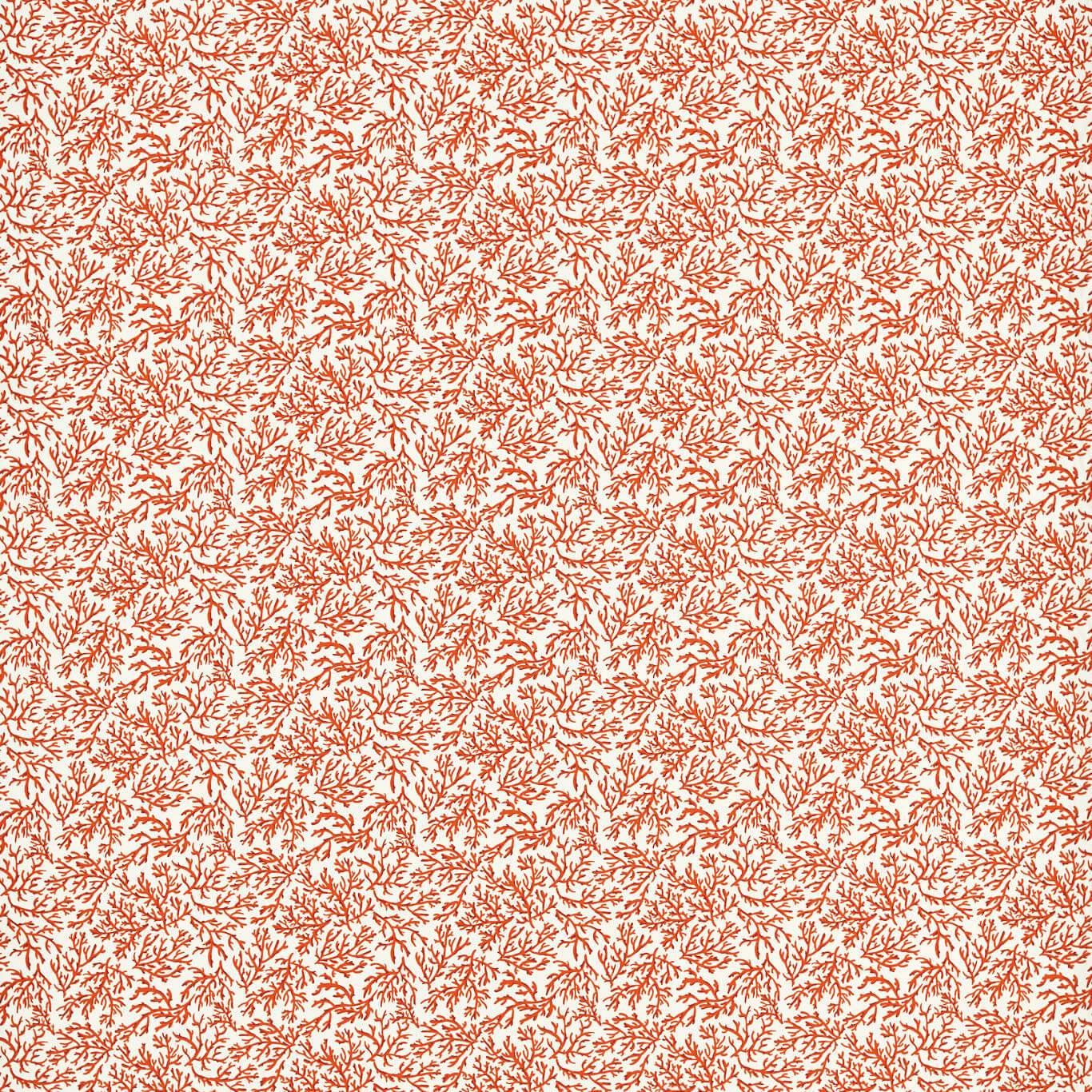 Seabed F1729-02