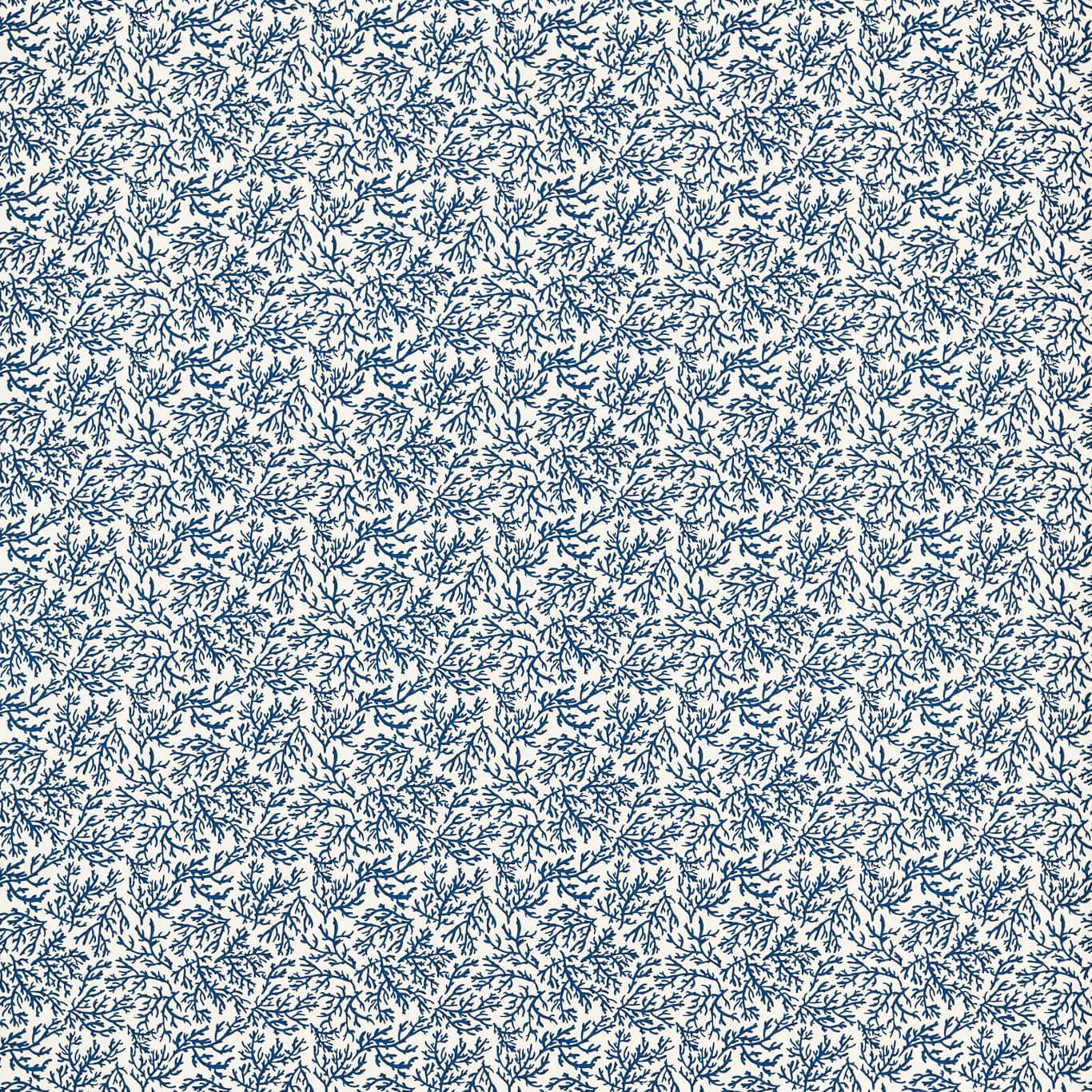 Seabed F1729-05