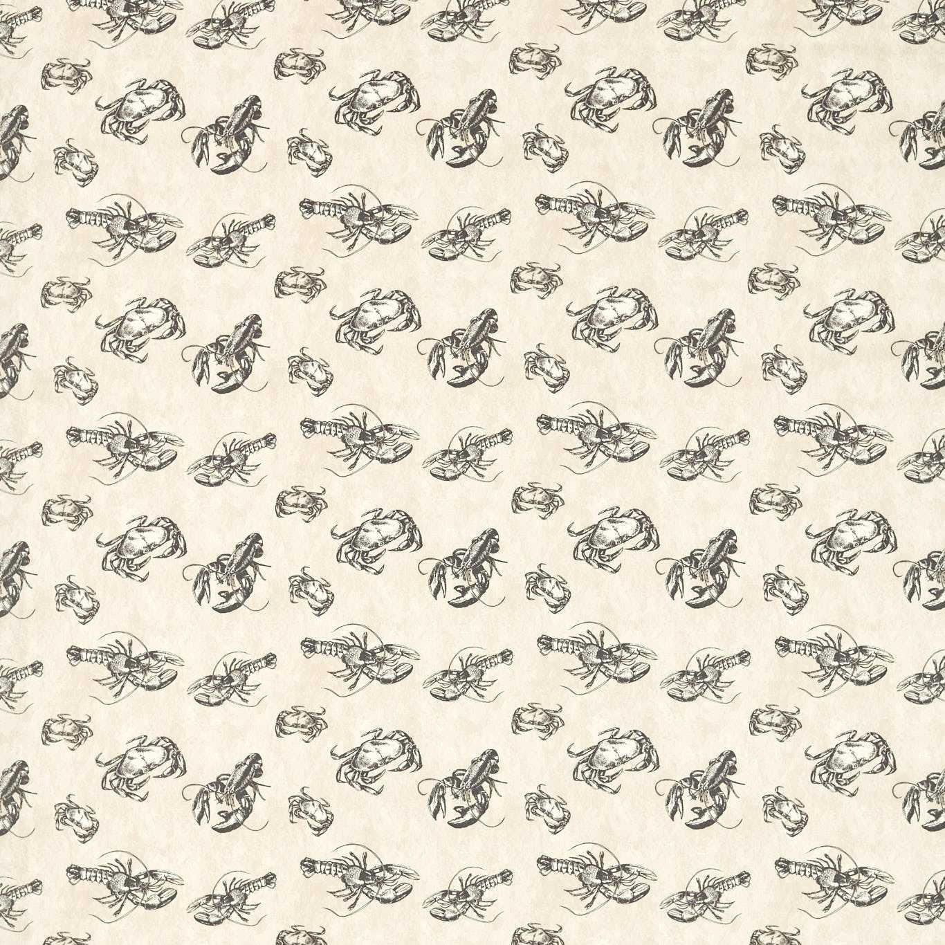Shellfish F1731-01
