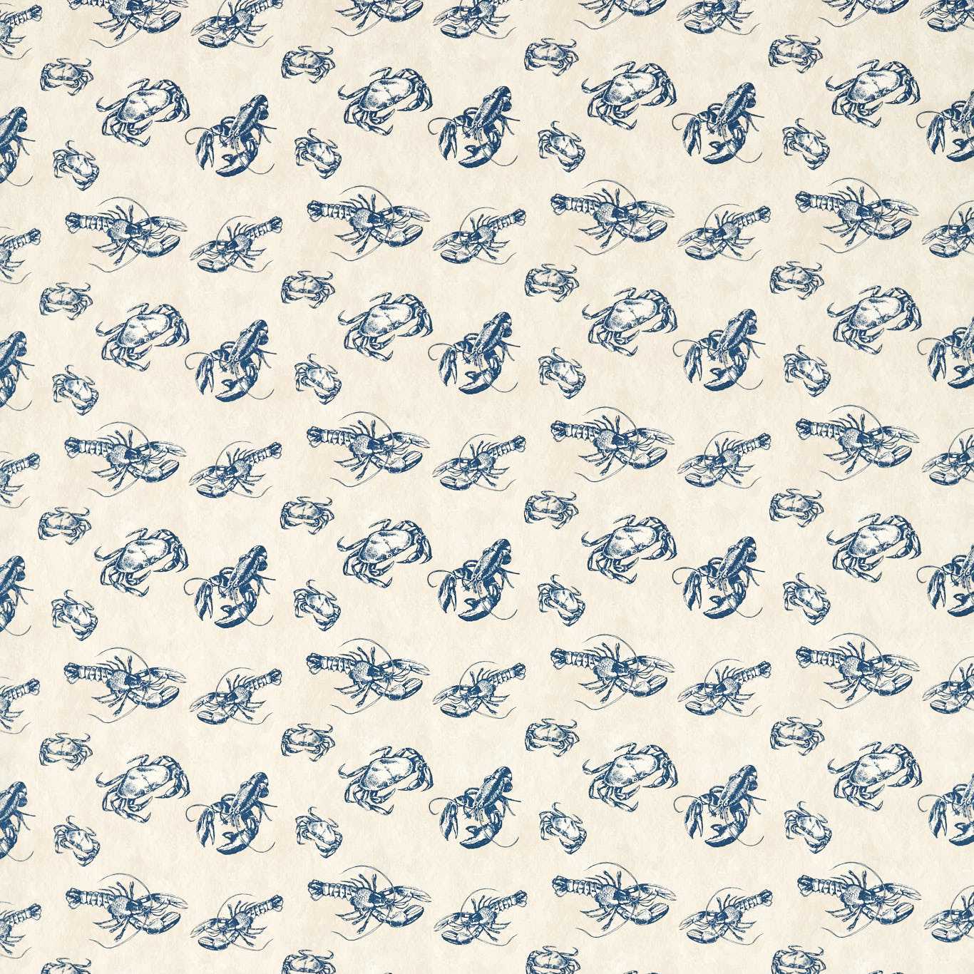 Shellfish F1731-02