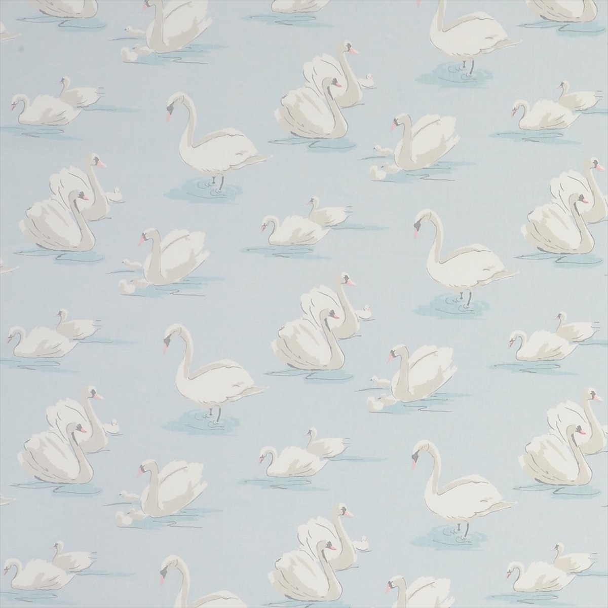 Swans Sky F0846-03