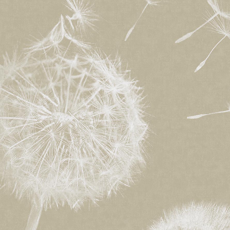 Taraxacum Macro M-GYPS-003
