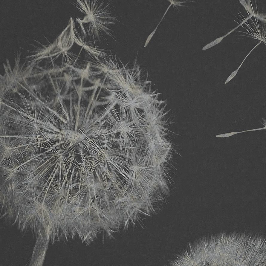 Taraxacum Macro M-SIL-003