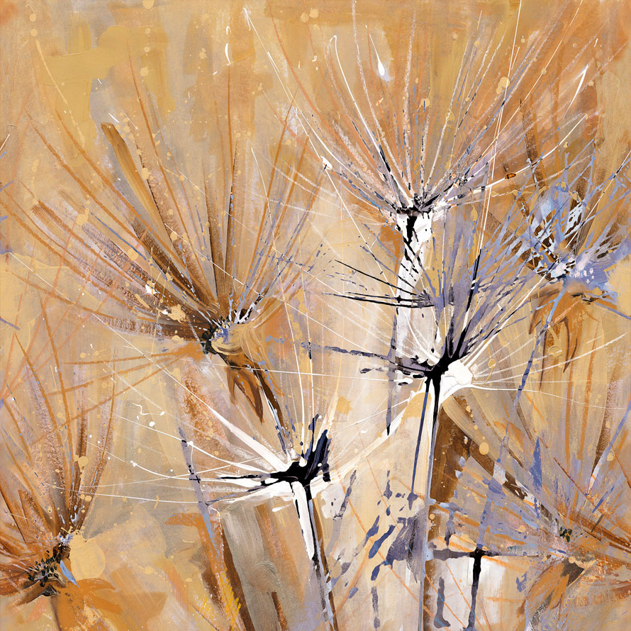 Taraxacum RWD12