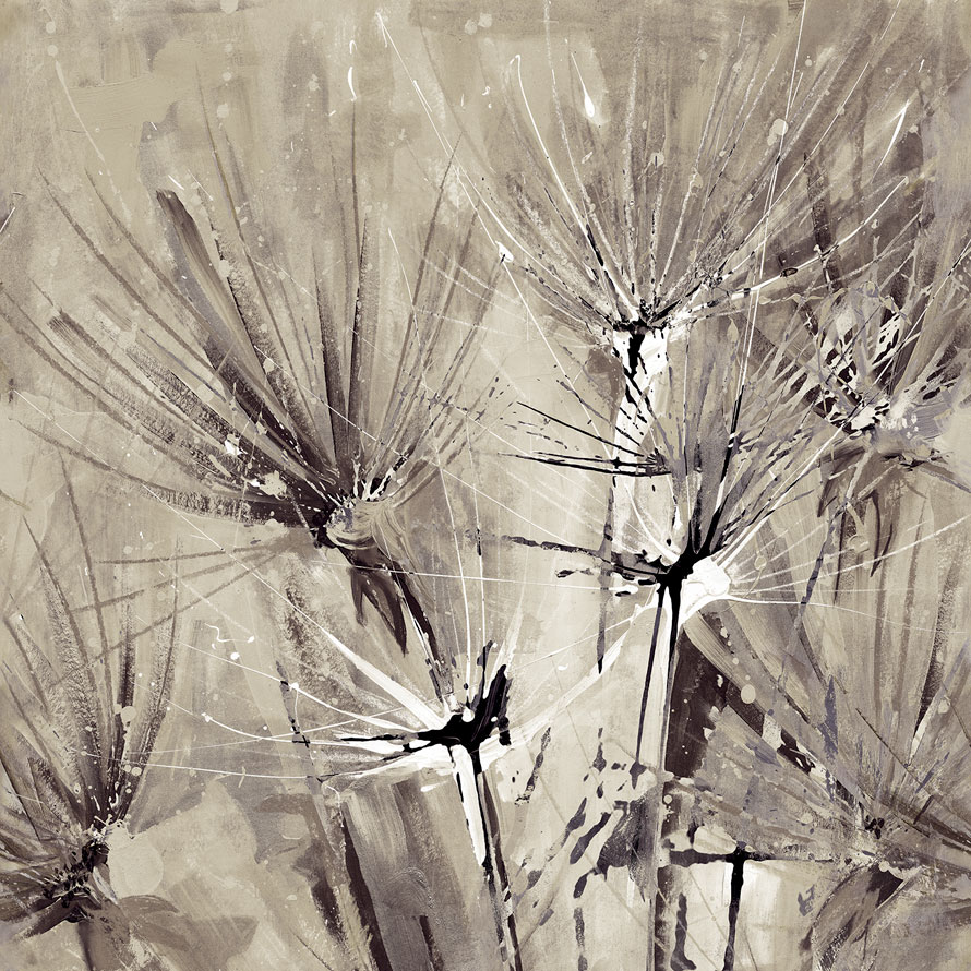 Taraxacum RWD15