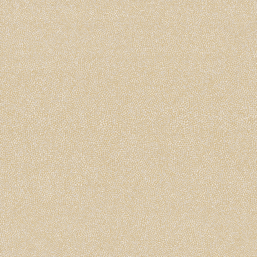 Coral re53