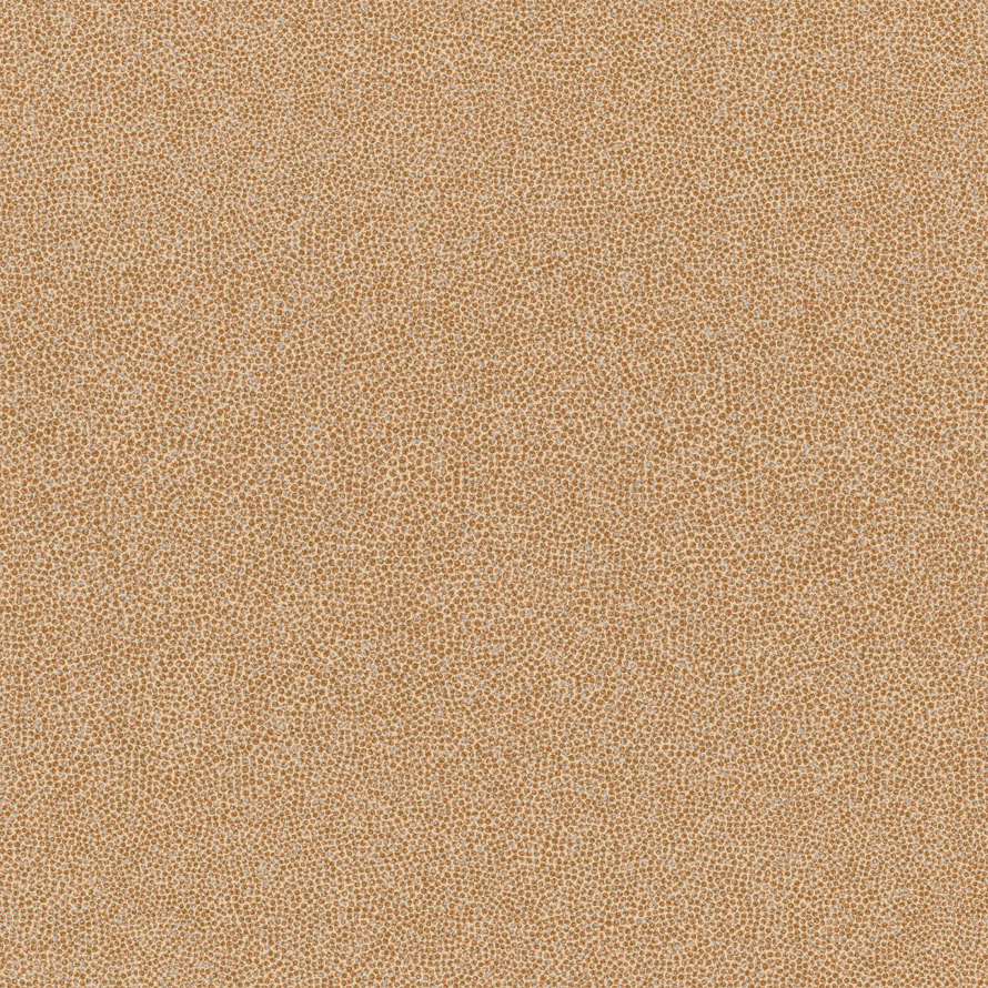 Coral re54