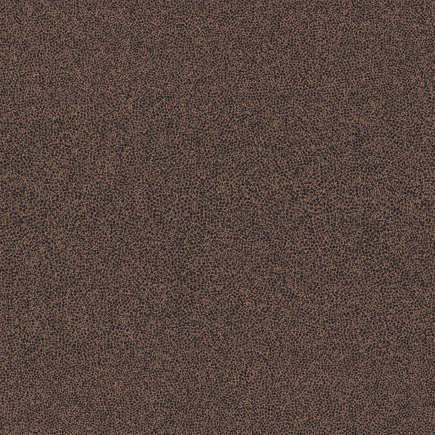Coral re55