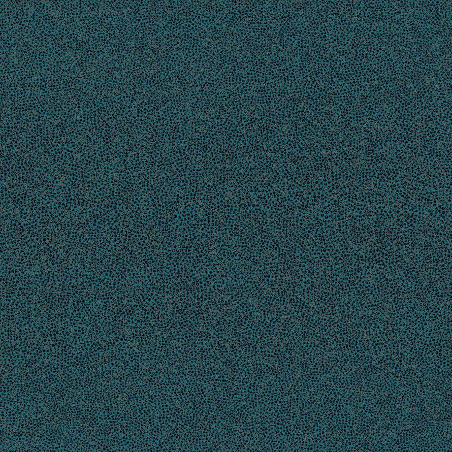 Coral re56