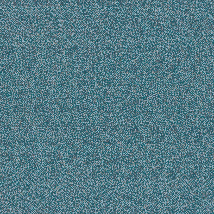 Coral re57