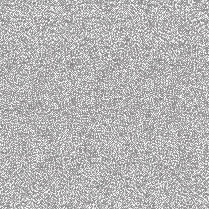 Coral re59