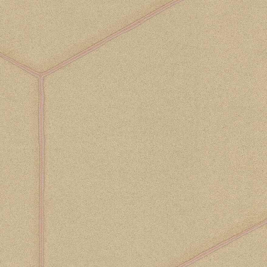 Double-Slit EN203