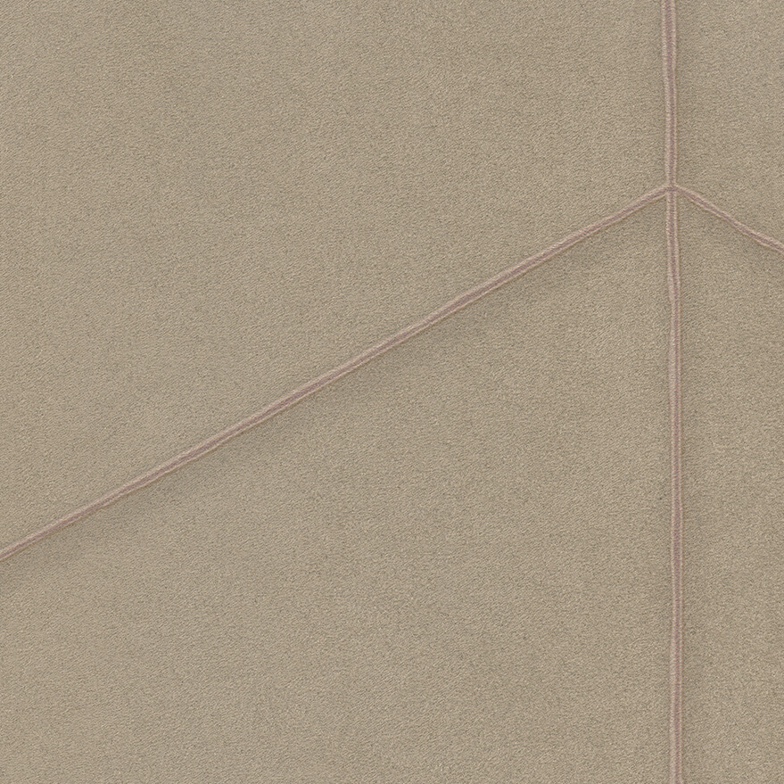 Double-Slit EN204