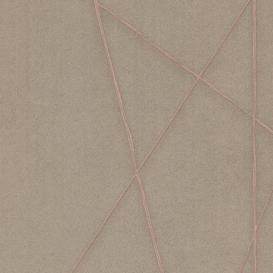 Entanglement EN105