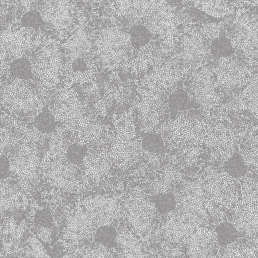 Sea Flower re29