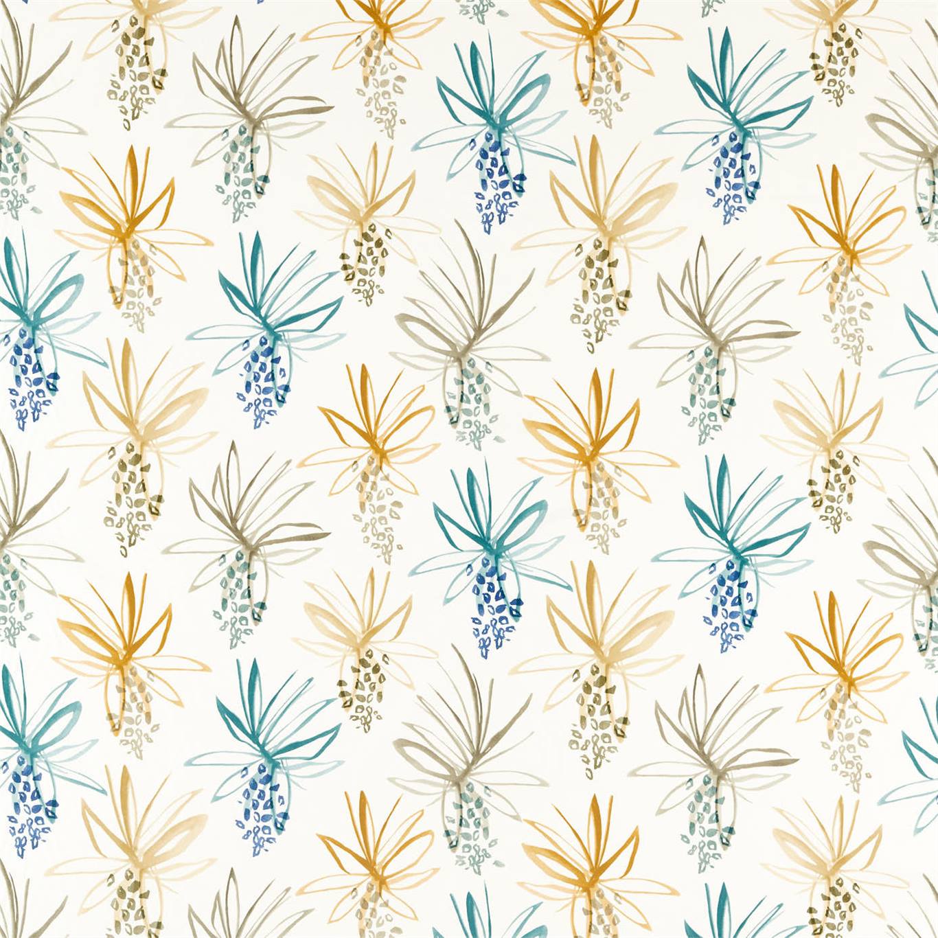 Tillandsia 120774
