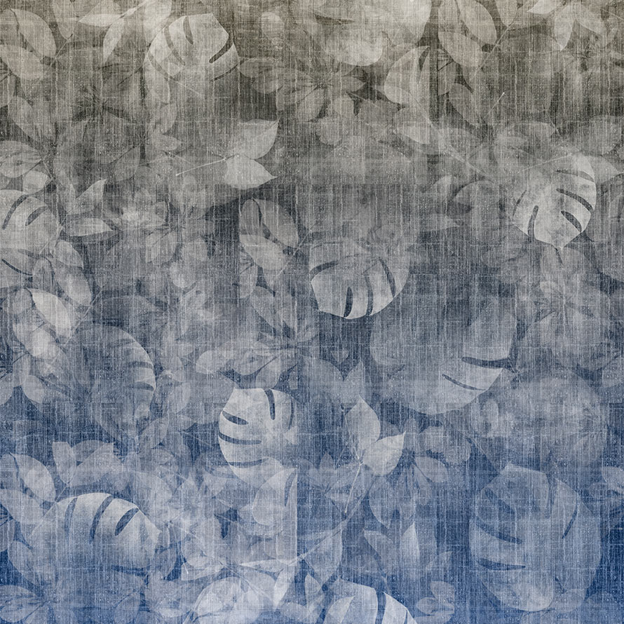 Transition Tropic ID1003