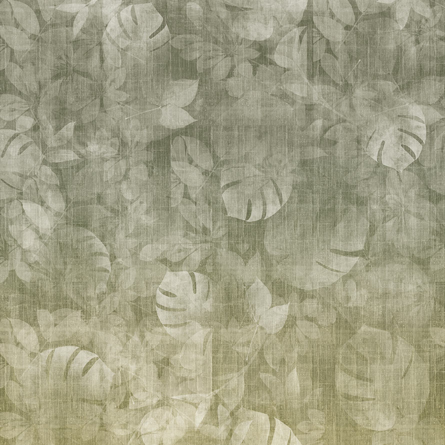 Transition Tropic ID1004