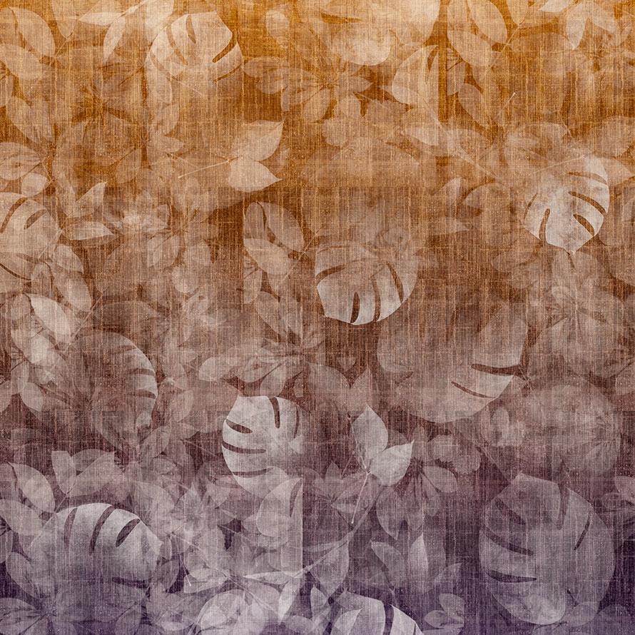Transition Tropic ID1005