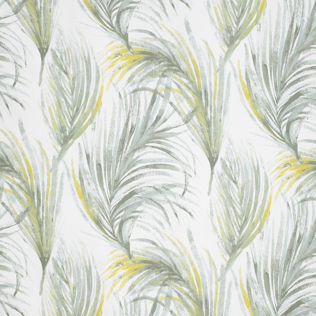 Tropical CORI 8186 21 02