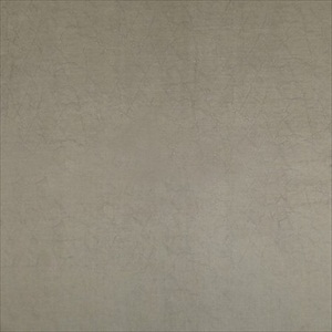 Velours Metalise PLC 2632 21 16