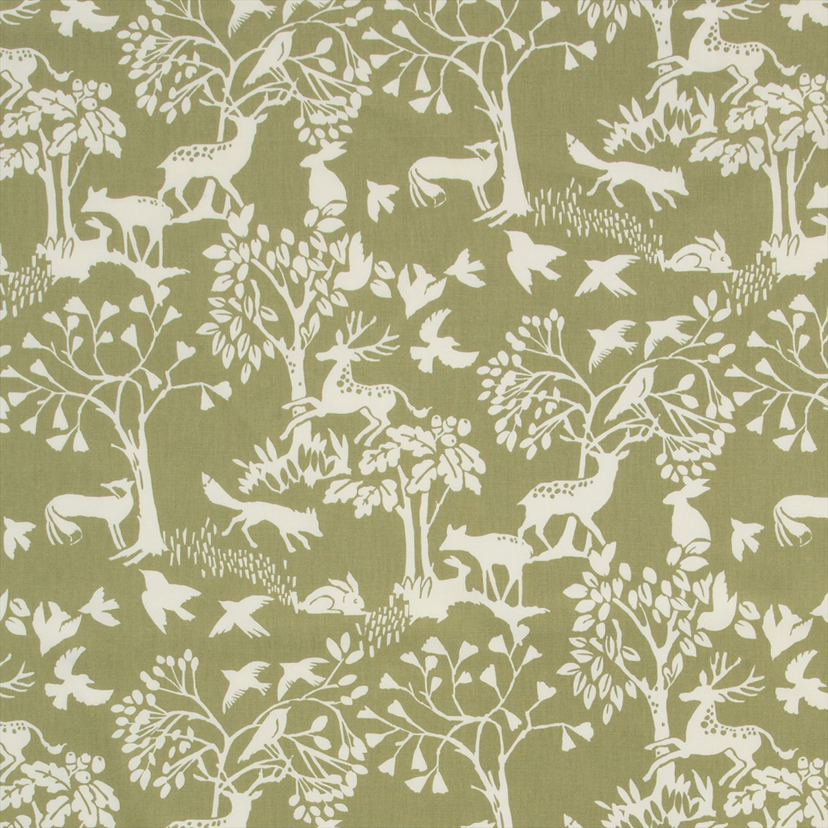 Vilda Sage F0993-05