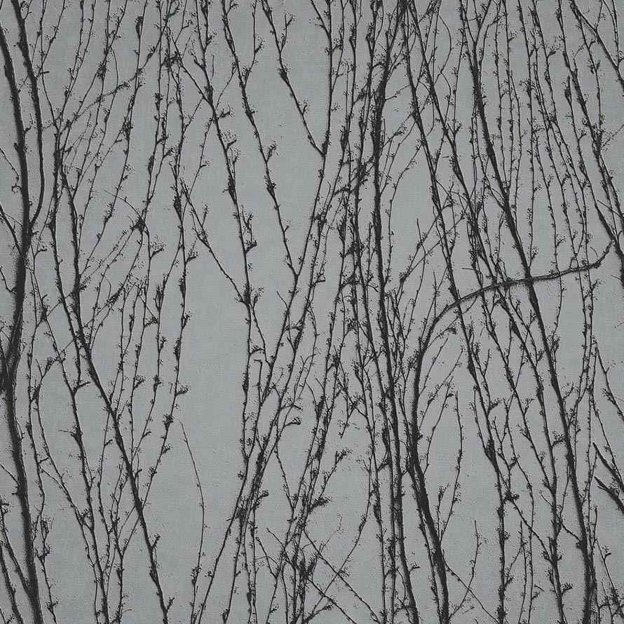 Virginia Creeper M-SIL-007