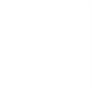 Voile AES 2494 01 18