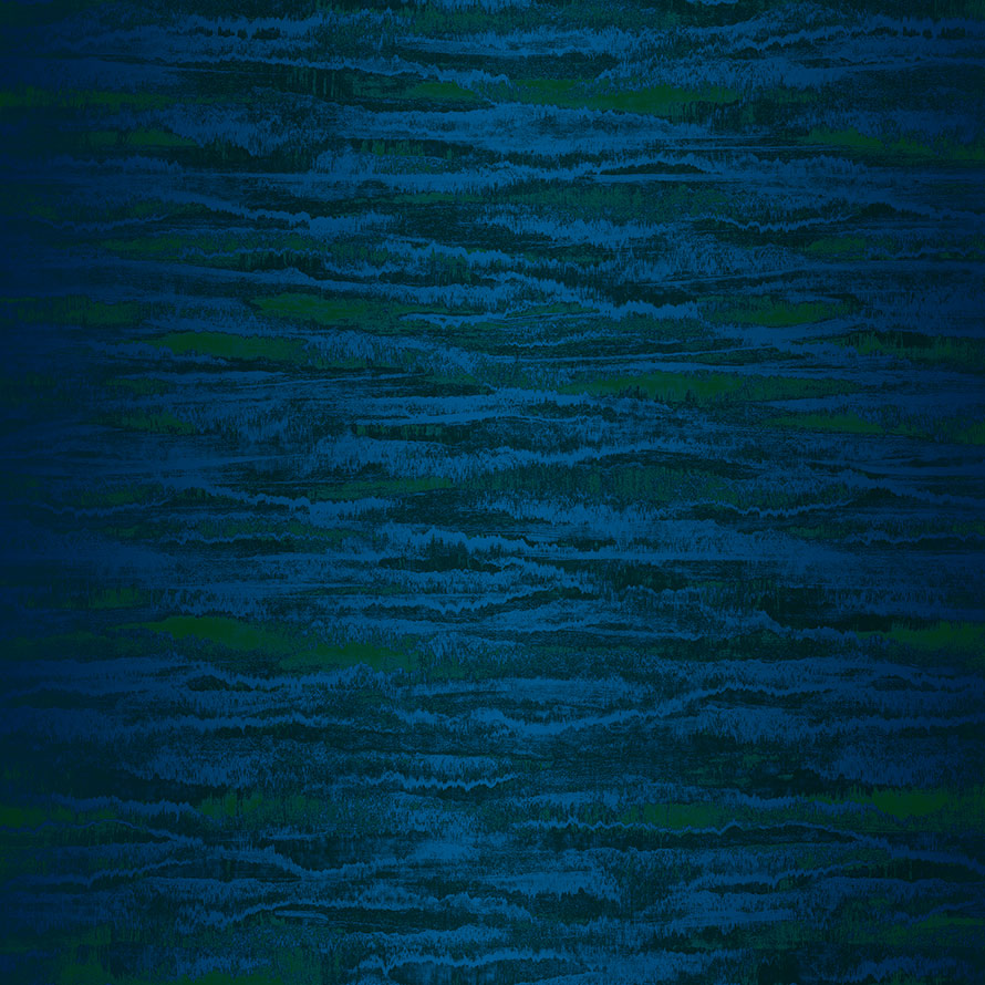 Waves LX110