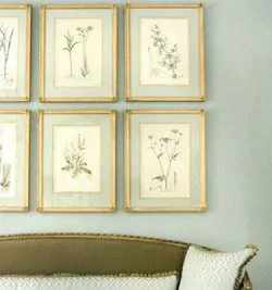 botanical-floral-artwork