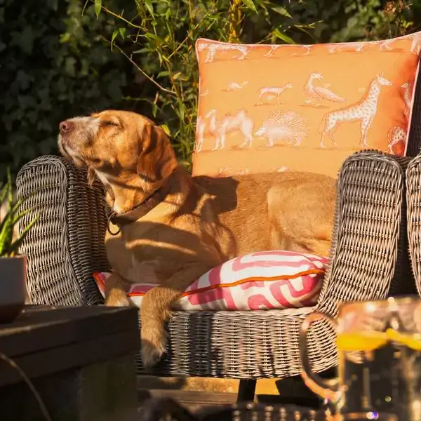 Kingdom Outdoor Cushion in Lava by Andrew Martin