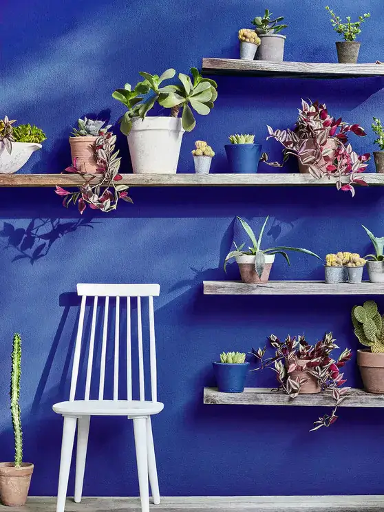 Little Greene Exterior Paint