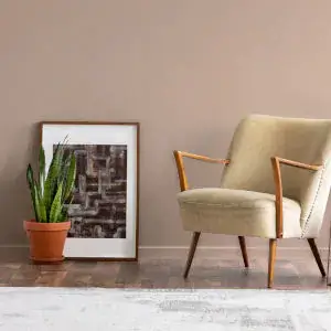Factor Fifty paint by COAT Paints