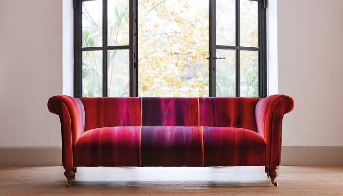 Amazilia Velvets