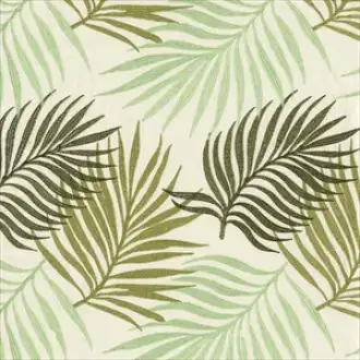 Palmeraie 3546 02 02