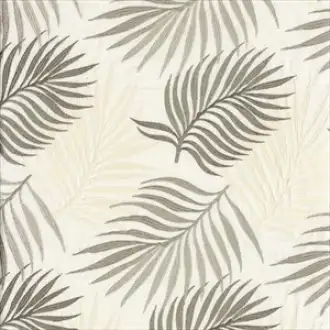 Palmeraie 3546 04 06