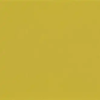 Newton Jaune Pop 2666 22 48