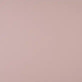 Newton Rose Poudre 2666 42 02