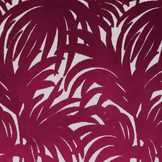 Guyane Fuschia 4209 01 22
