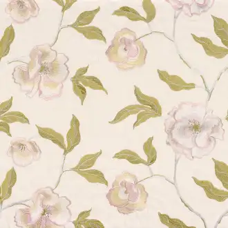 Raphaelle Rose Poudre 4169 01 67