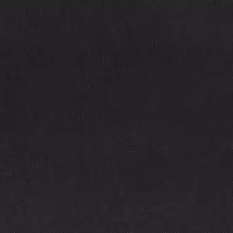 Epidaure Charbon 3809 21 04