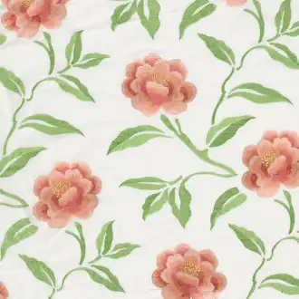 Pivoine Peche 3750 02 32