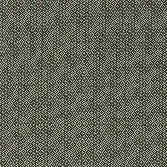 Peninsule Noir A3550 01 34