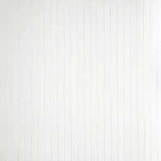 Rayure Voile Blanc A8145 01 13
