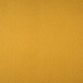 Rayonnement Camel 4140 05 11